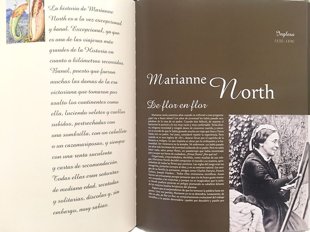 marianne-north
